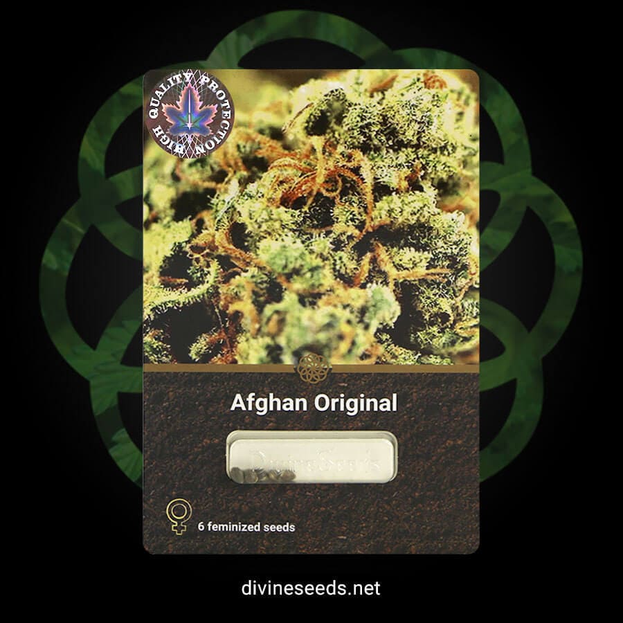 Afghan Original original package by Divine Seeds