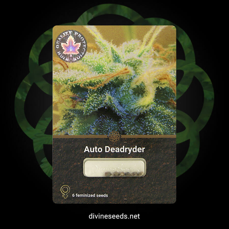 Divine Seeds Auto Deadryder original package