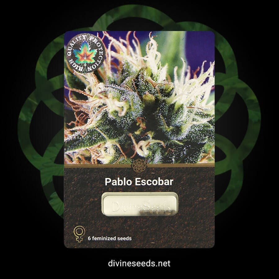 Pablo Escobar original pack Divine Seeds