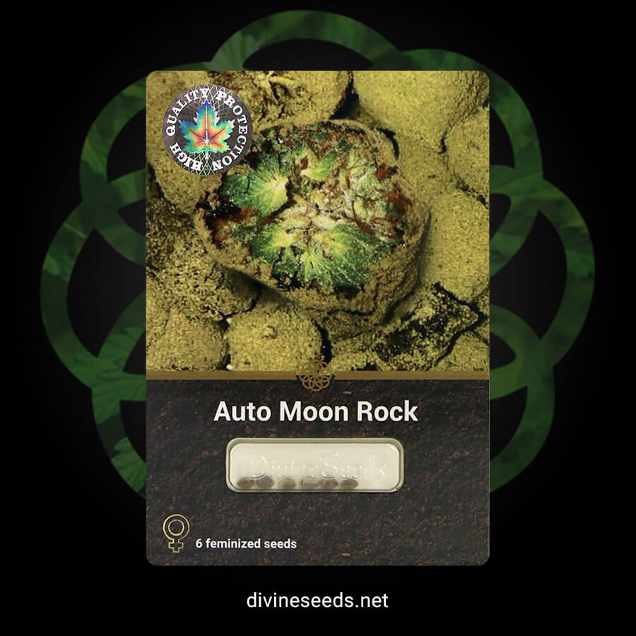 Auto Moon Rock original package by Divine Seeds