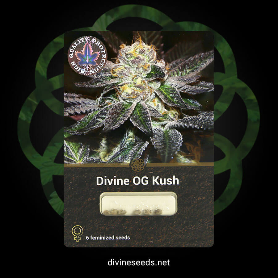 Divine OG Kush original package