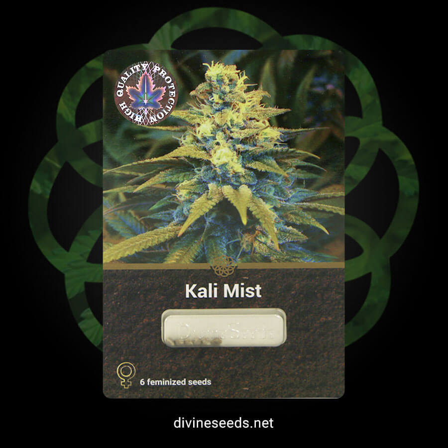 Kali Mist original package by Divine Seeds