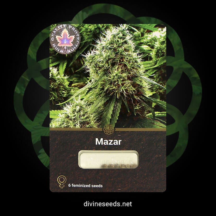 Mazar original package y Divine Seeds