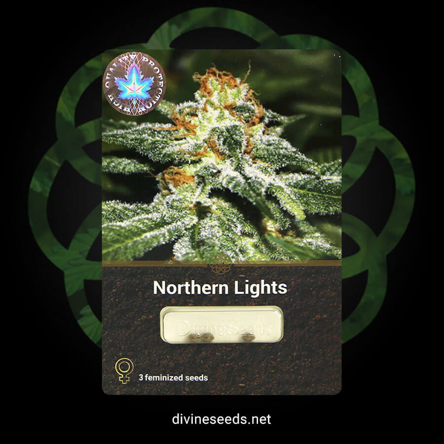 Divine Seeds Northern Lights original package